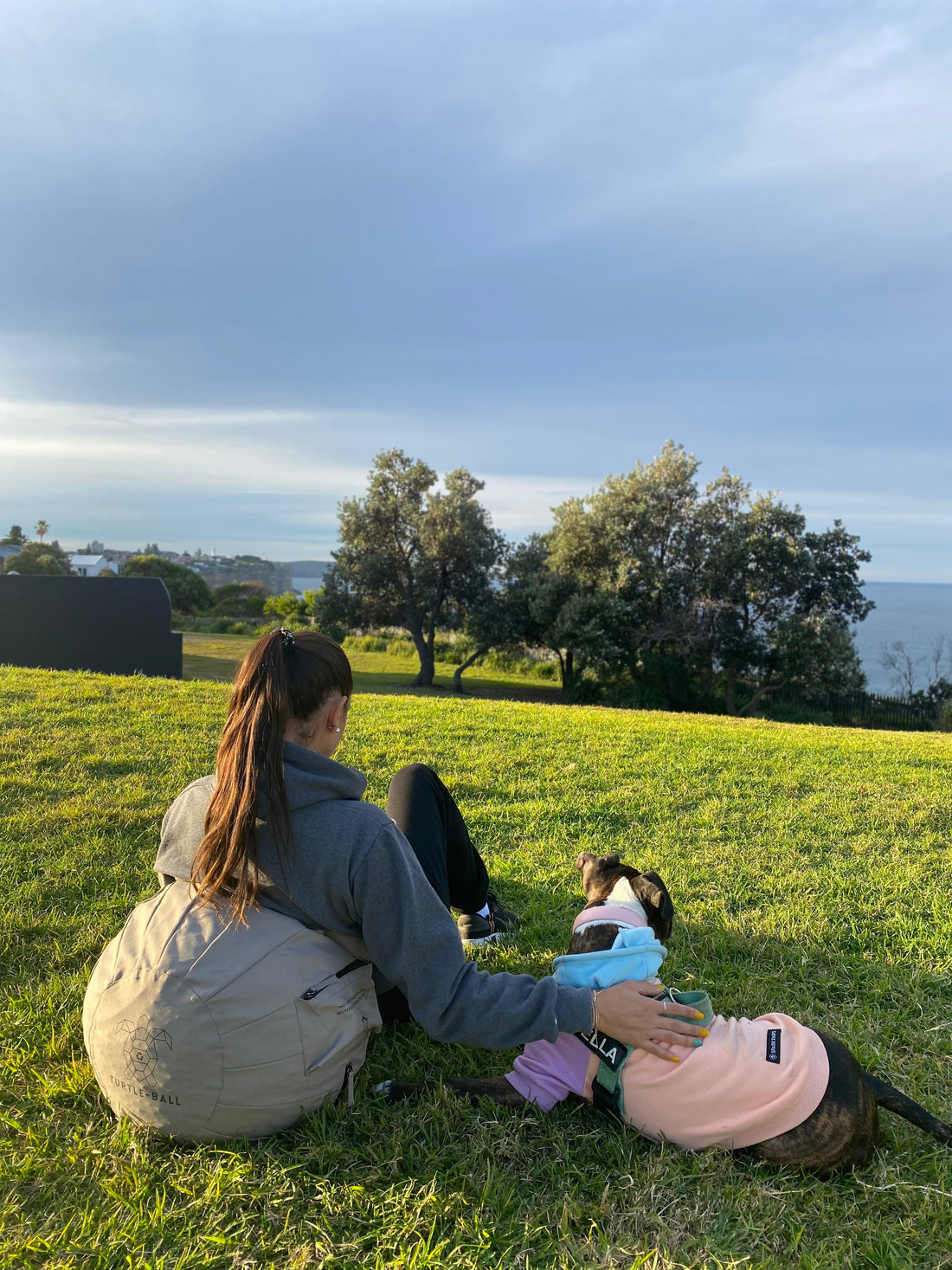 Why Turtle-Ball Bean Bags Are Perfect for Sydney Park Hangouts