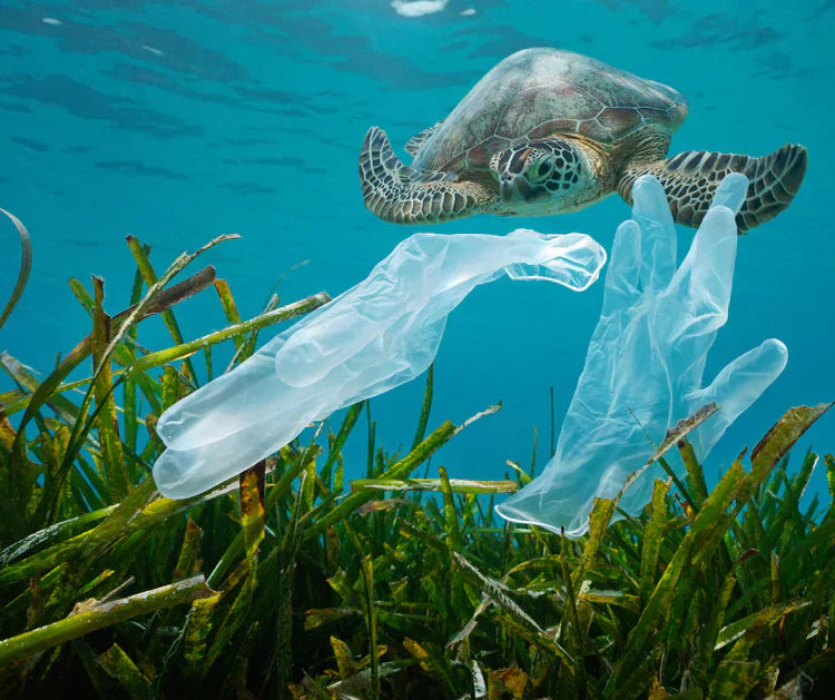 Turtle-Ball Joins Forces with ZERO PLASTIC OCEANS to Combat Marine Plastic Pollution
