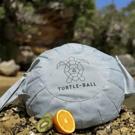 Turtle-Ball Bean Bag