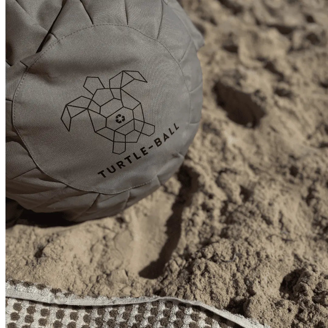 Turtle-Ball Beach Bean Bag Chair Portable Carry Bag