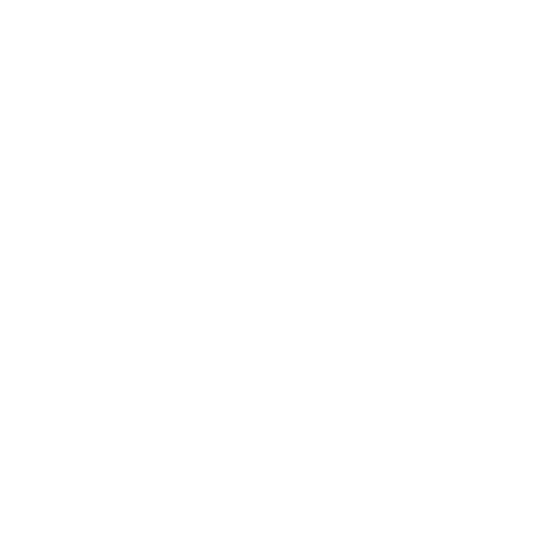 Turtle-Ball- Portable 2-in-1 pouffe and carry bag. Beach Chairs Australia