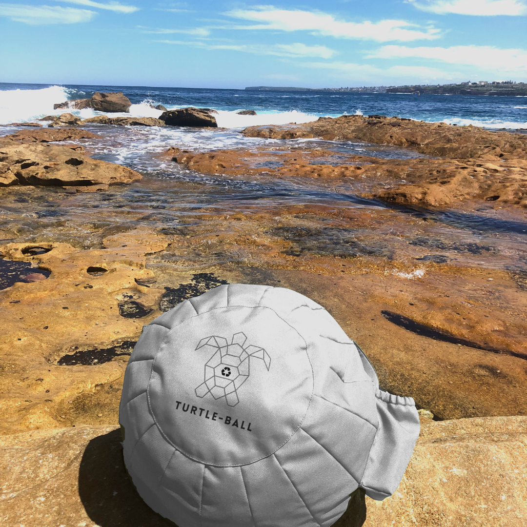 Turtle Ball Portable Beach Chair Bean Bag Carry Bag Tote