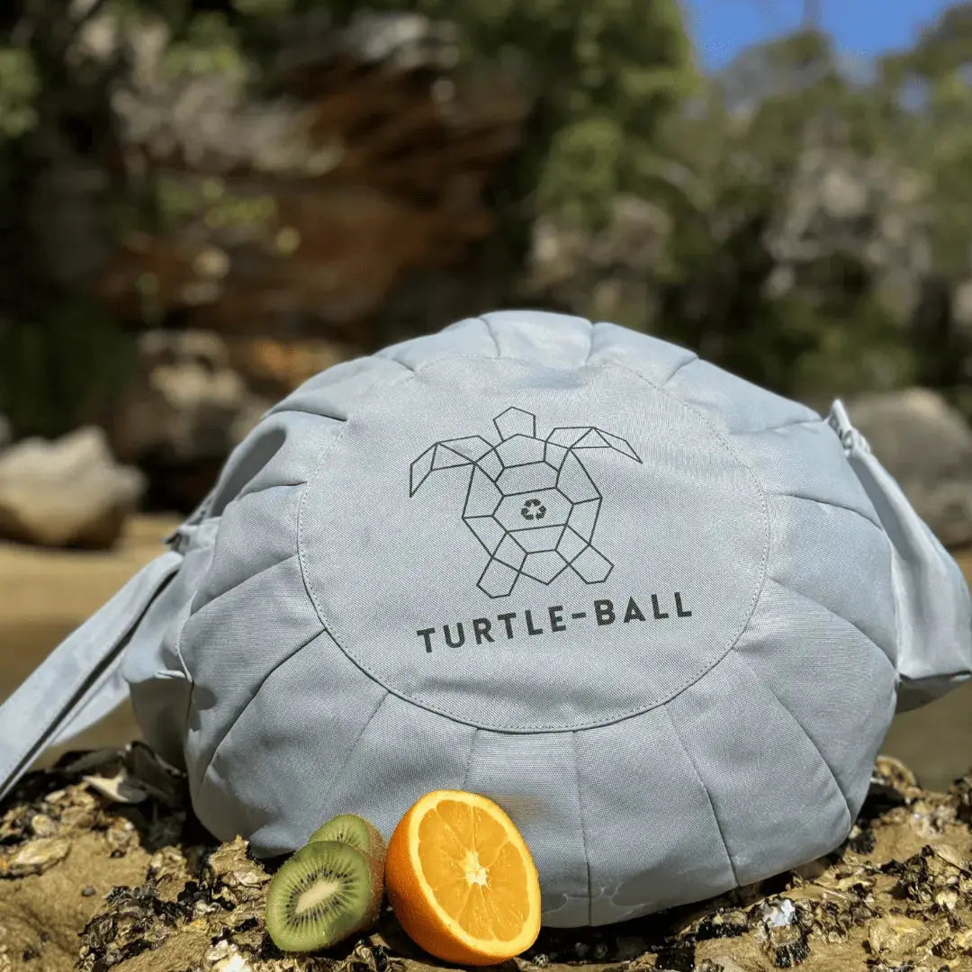 Turtle Ball Portable Beach Chair Bean Bag Carry Bag Tote Beach Pillow Recliner Lounger