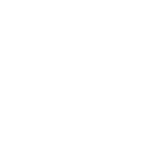 Turtle-Ball